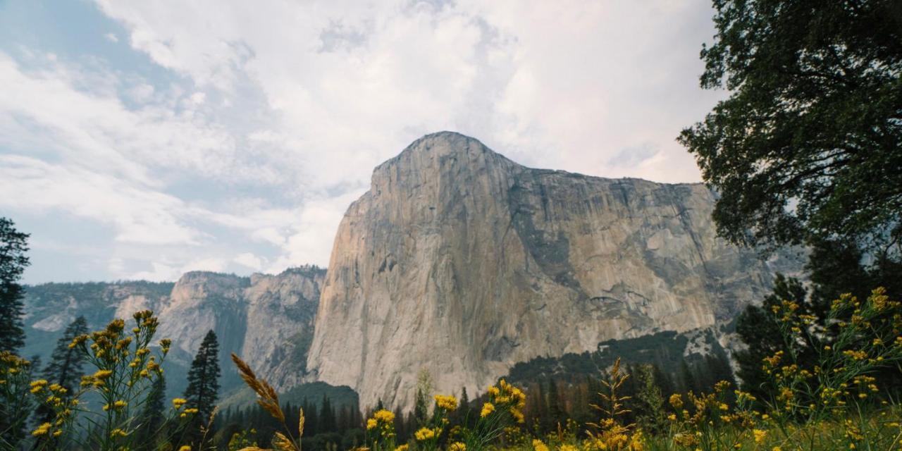 Autocamp Yosemite Hotel Midpines Exterior photo