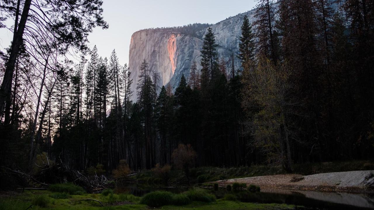 Autocamp Yosemite Hotel Midpines Exterior photo